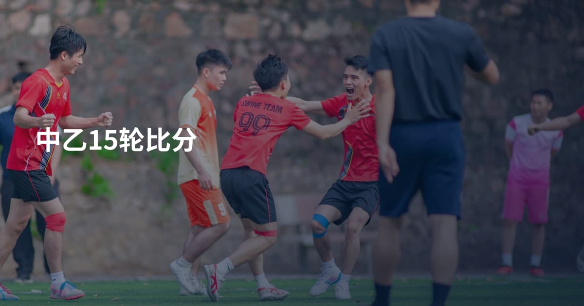 中乙15轮比分