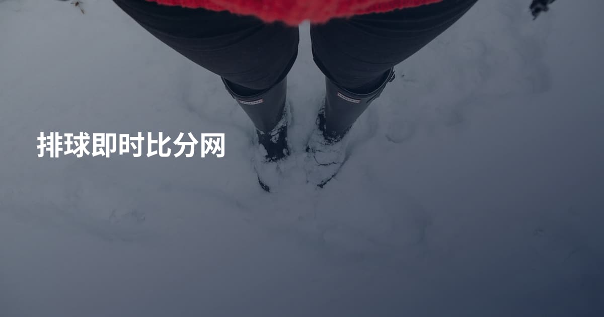 排球即时比分网