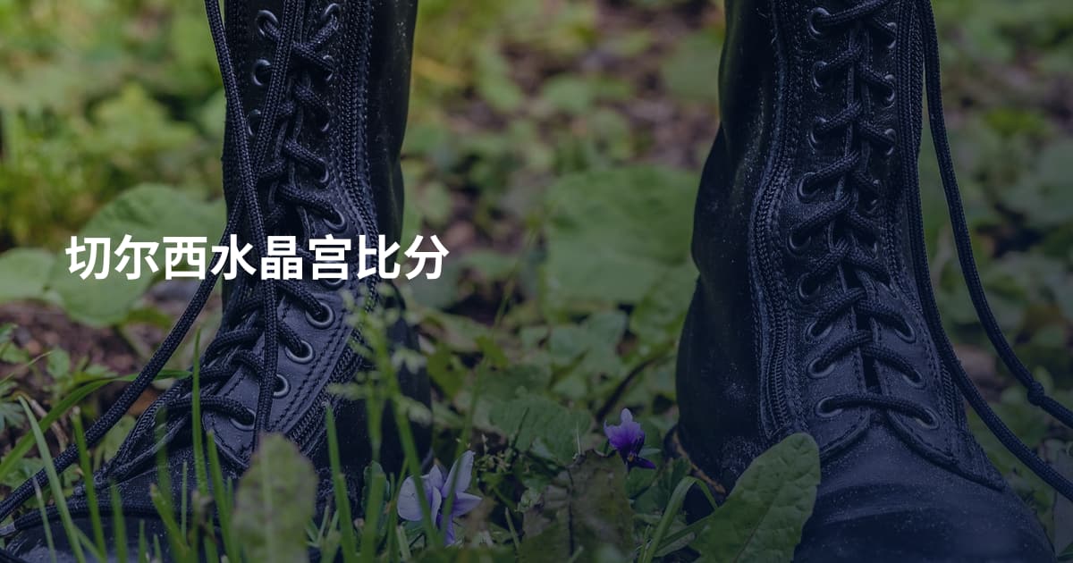 切尔西水晶宫比分