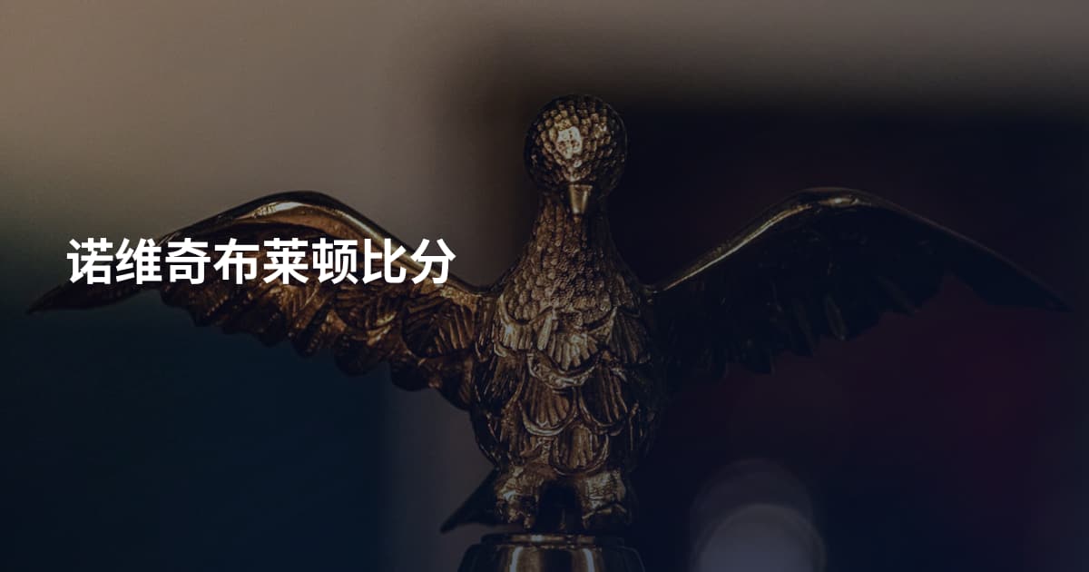 诺维奇布莱顿比分