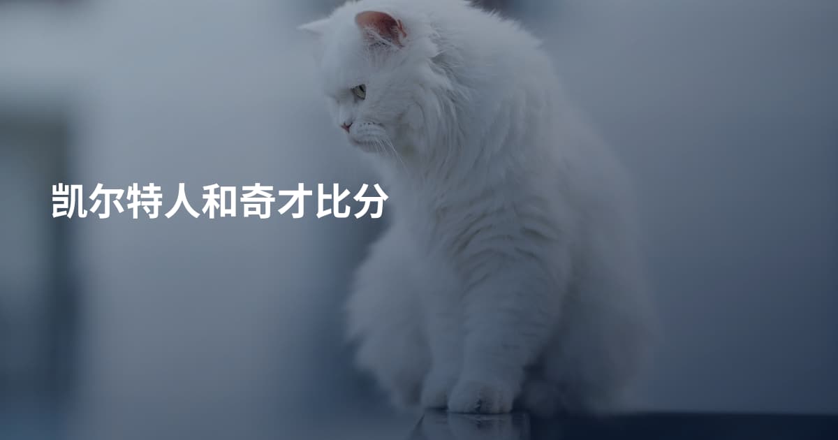 凯尔特人和奇才比分