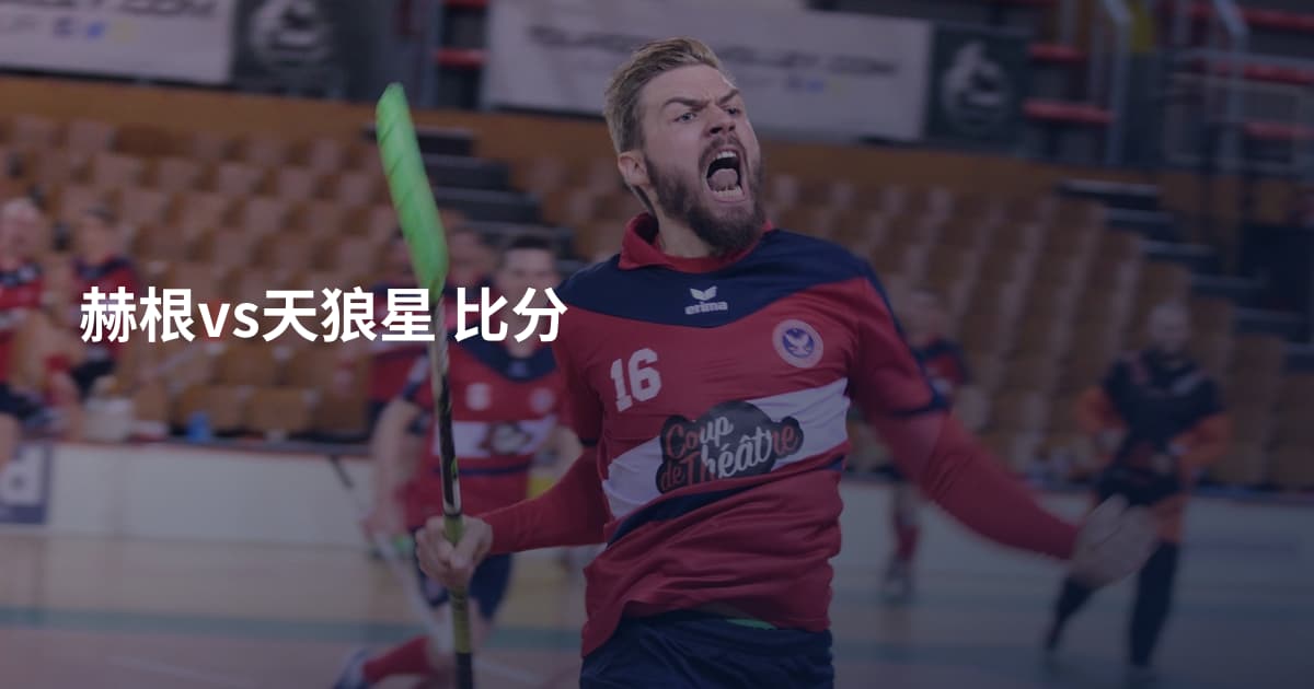 赫根vs天狼星 比分