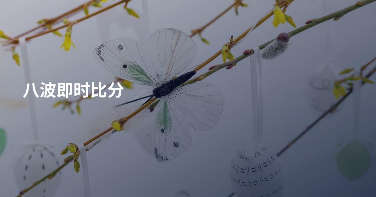八波即时比分