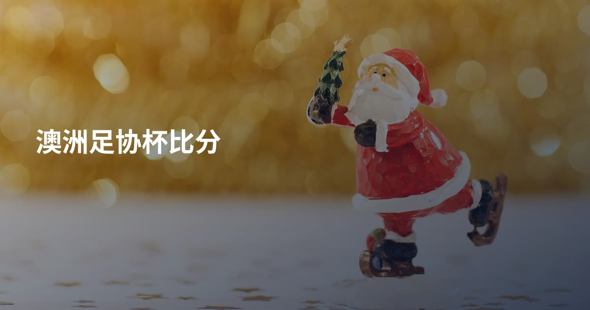 澳洲足协杯比分