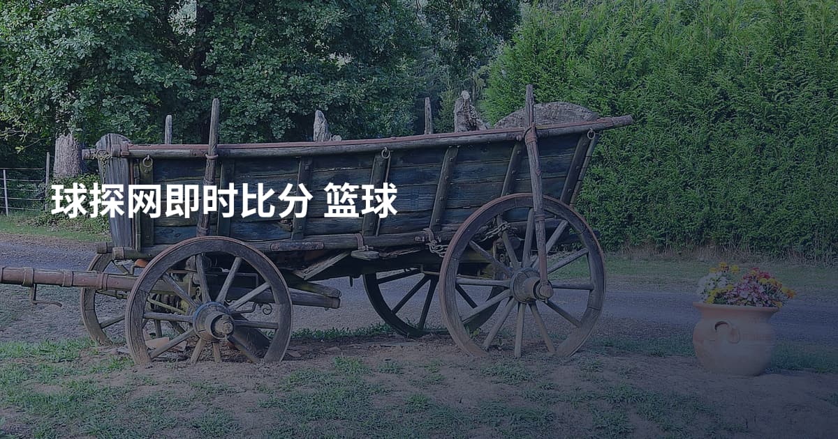 球探网即时比分 篮球