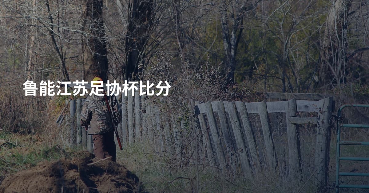 鲁能江苏足协杯比分