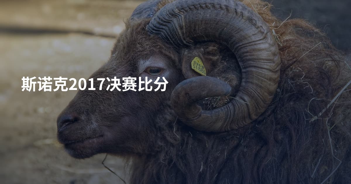 斯诺克2017决赛比分