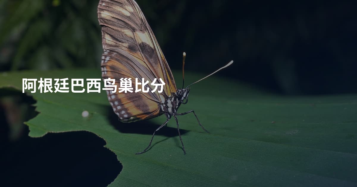 阿根廷巴西鸟巢比分