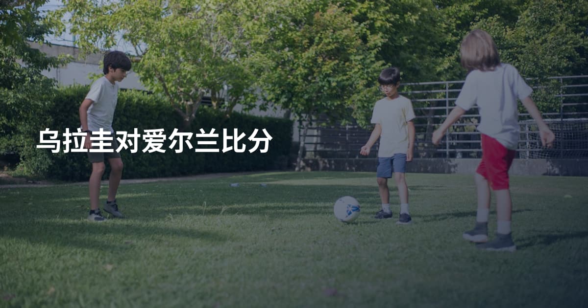 乌拉圭对爱尔兰比分