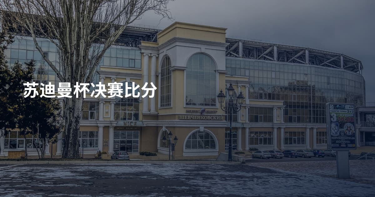 苏迪曼杯决赛比分
