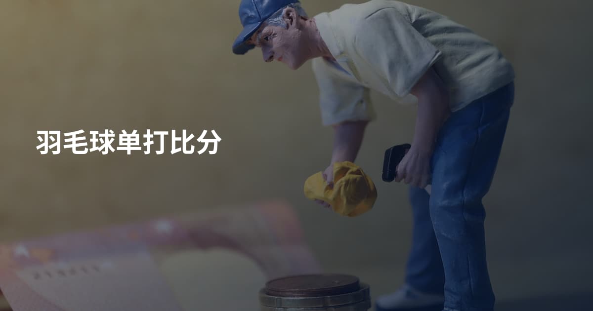 羽毛球单打比分