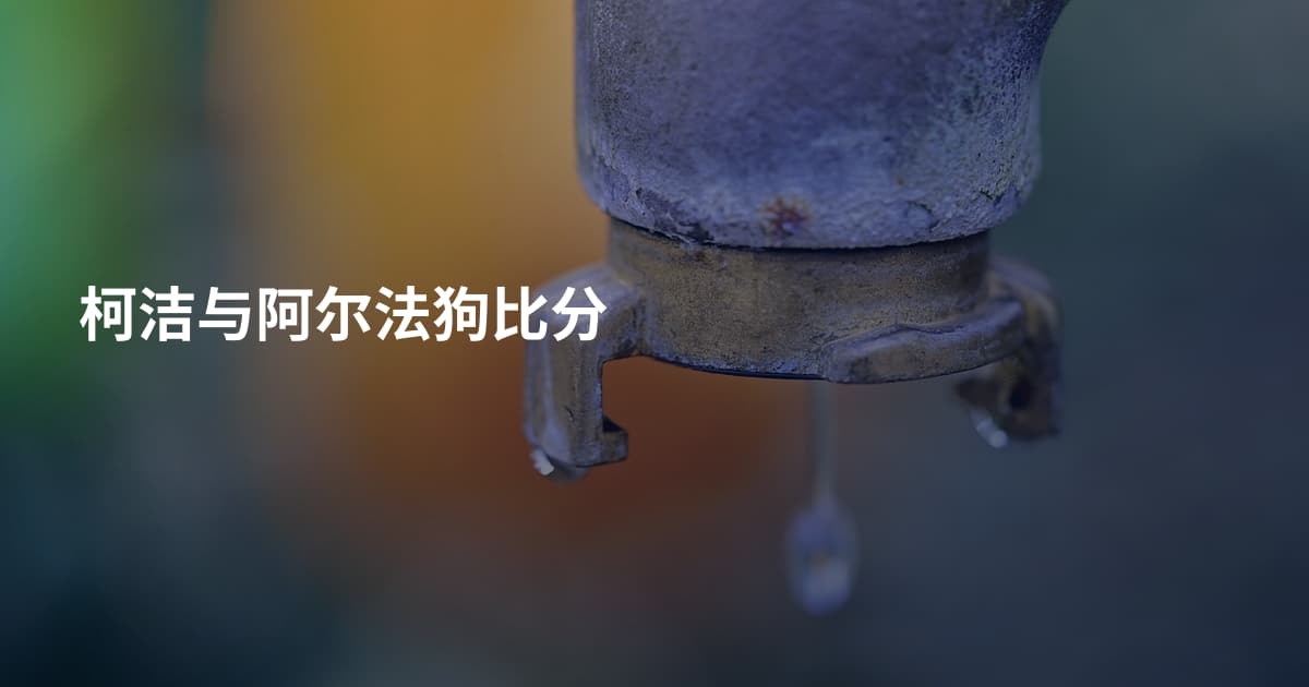 柯洁与阿尔法狗比分