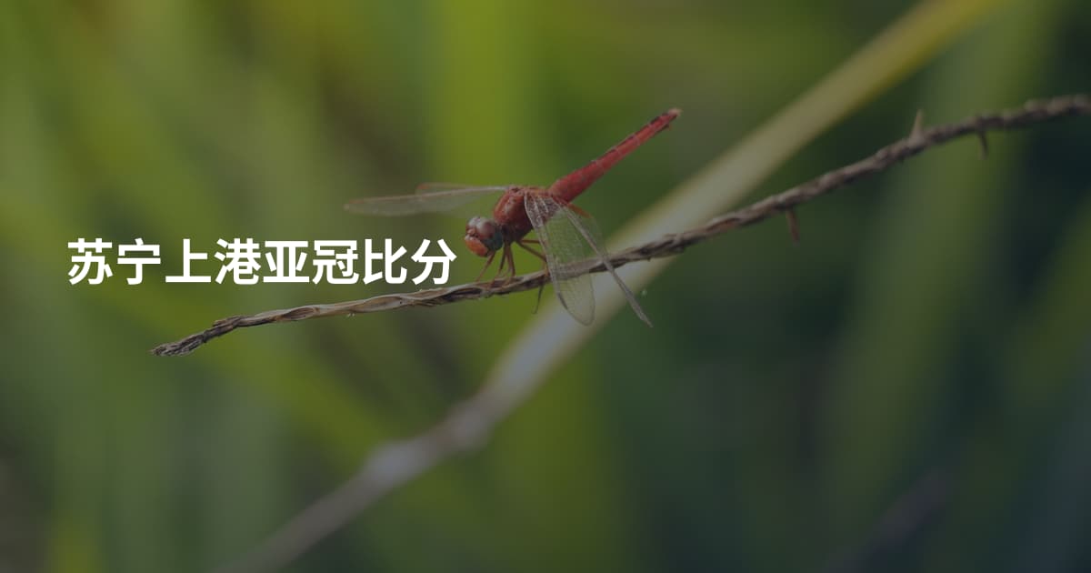 苏宁上港亚冠比分