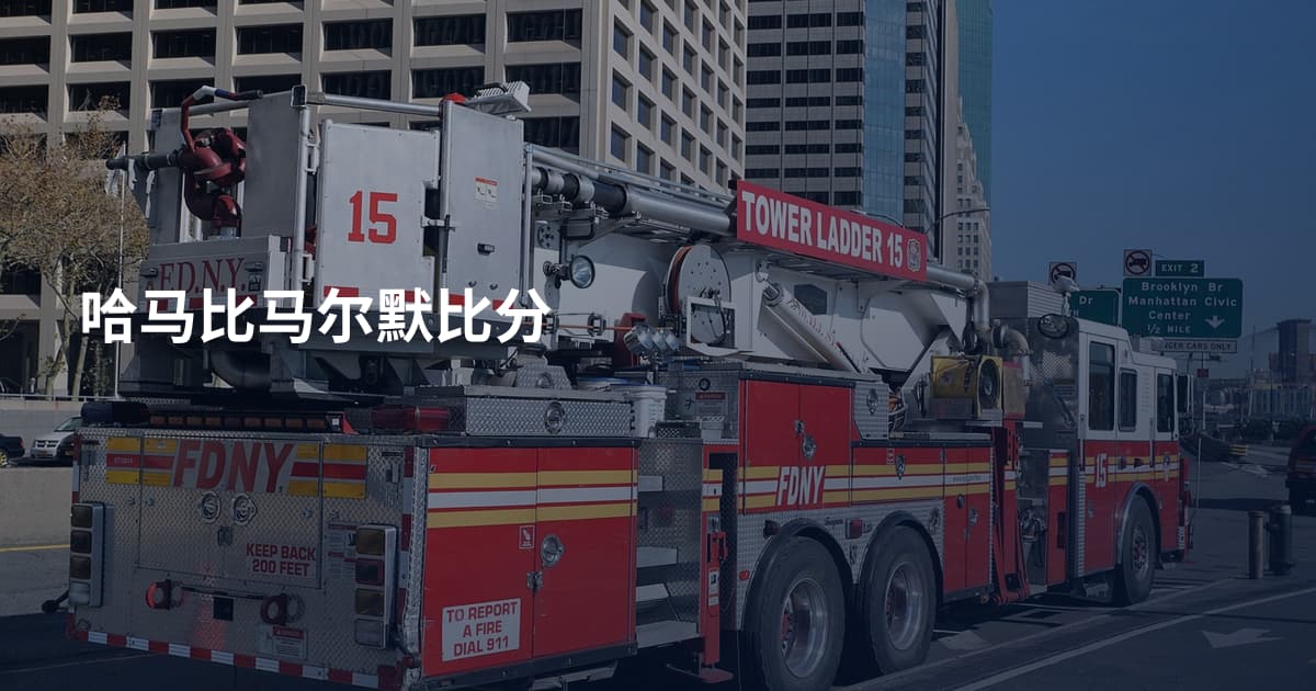 哈马比马尔默比分
