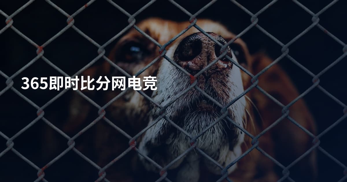 365即时比分网电竞