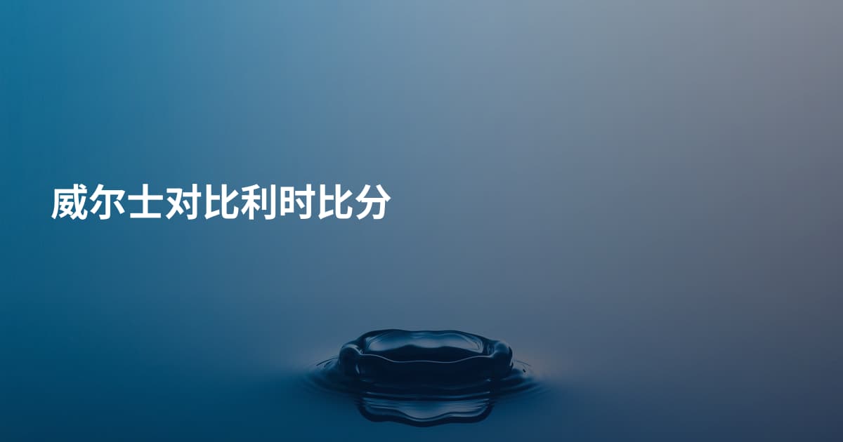 威尔士对比利时比分