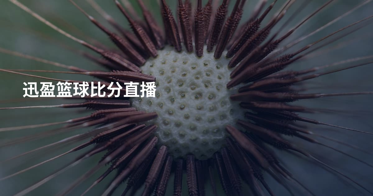 迅盈篮球比分直播