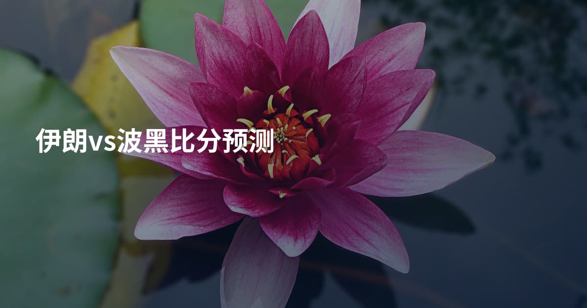 伊朗vs波黑比分预测