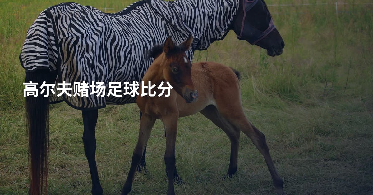 高尔夫赌场足球比分