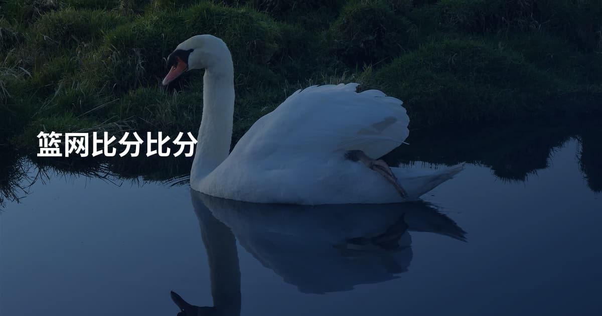 篮网比分比分