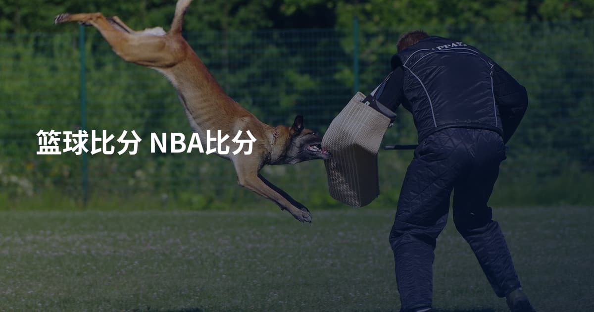 篮球比分 NBA比分