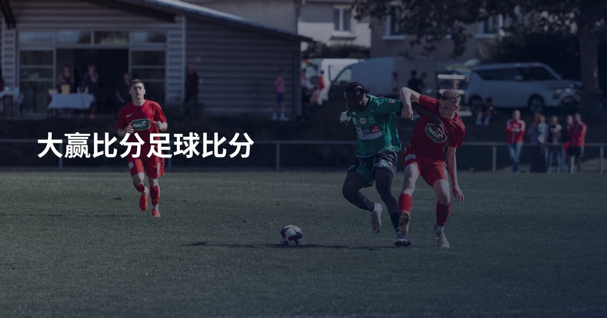 大赢比分足球比分