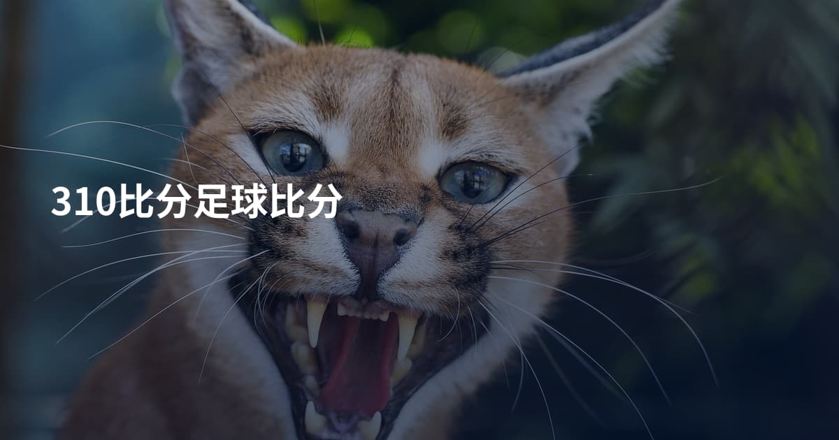 310比分足球比分