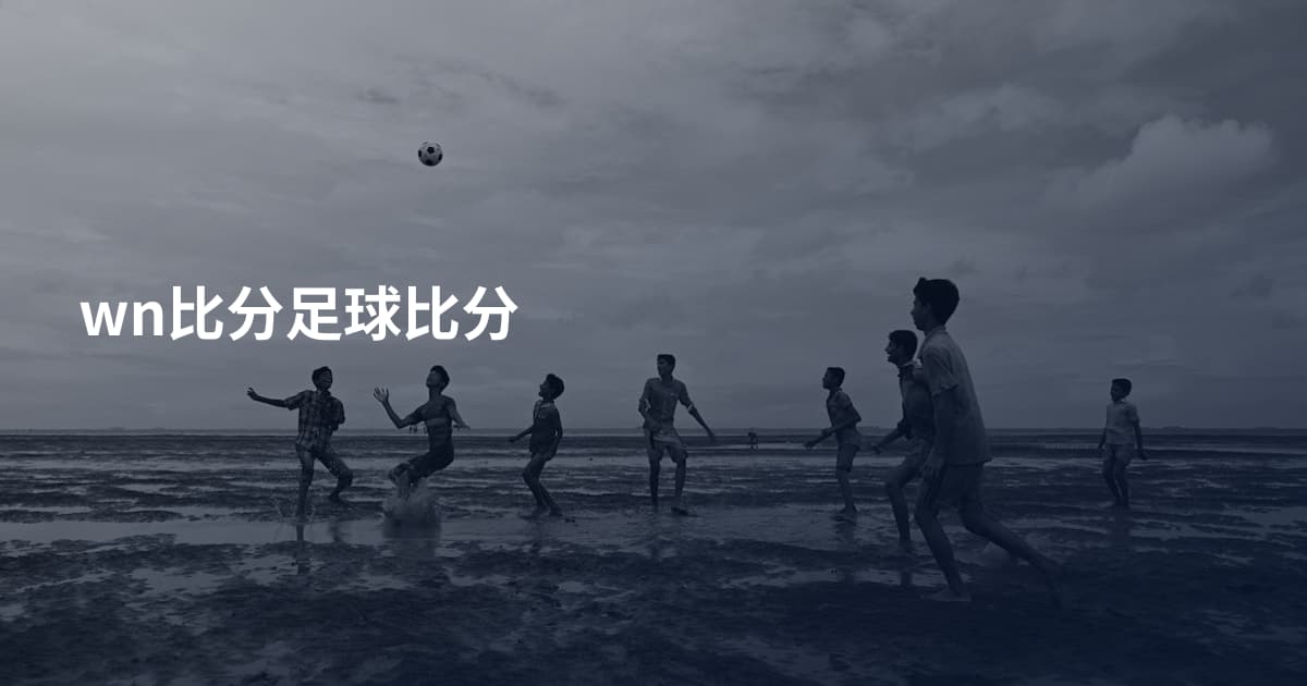 wn比分足球比分