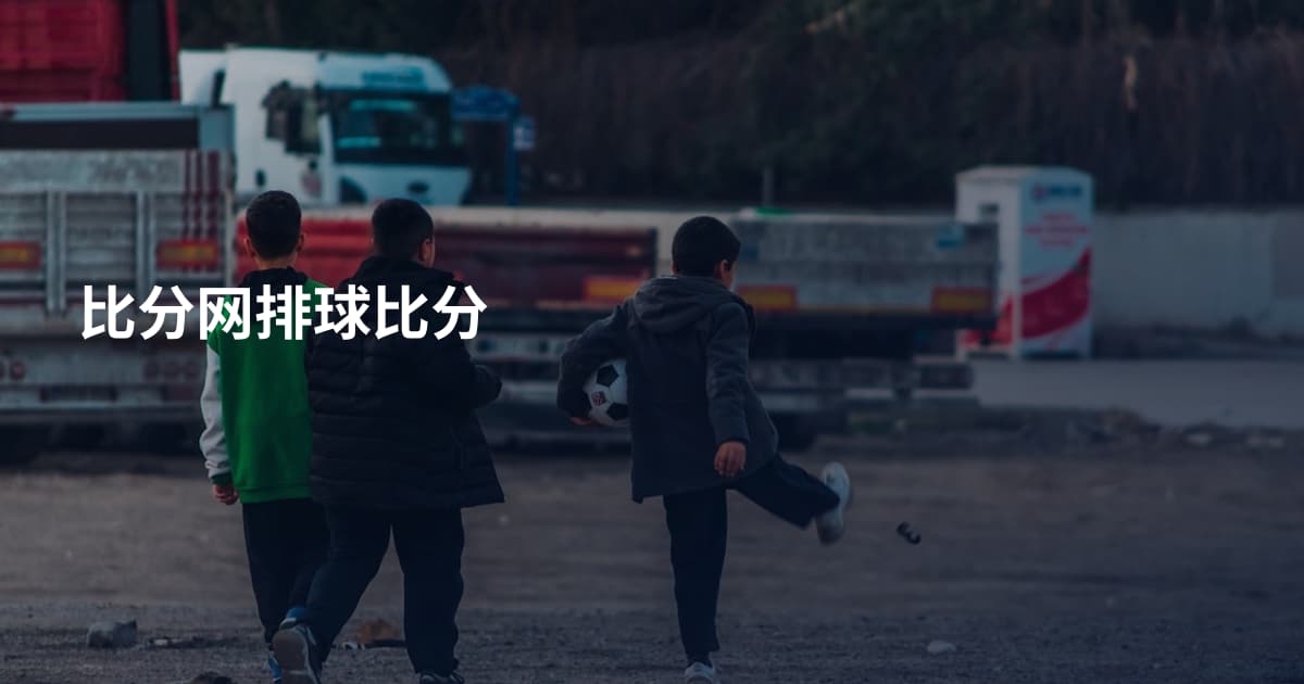 比分网排球比分