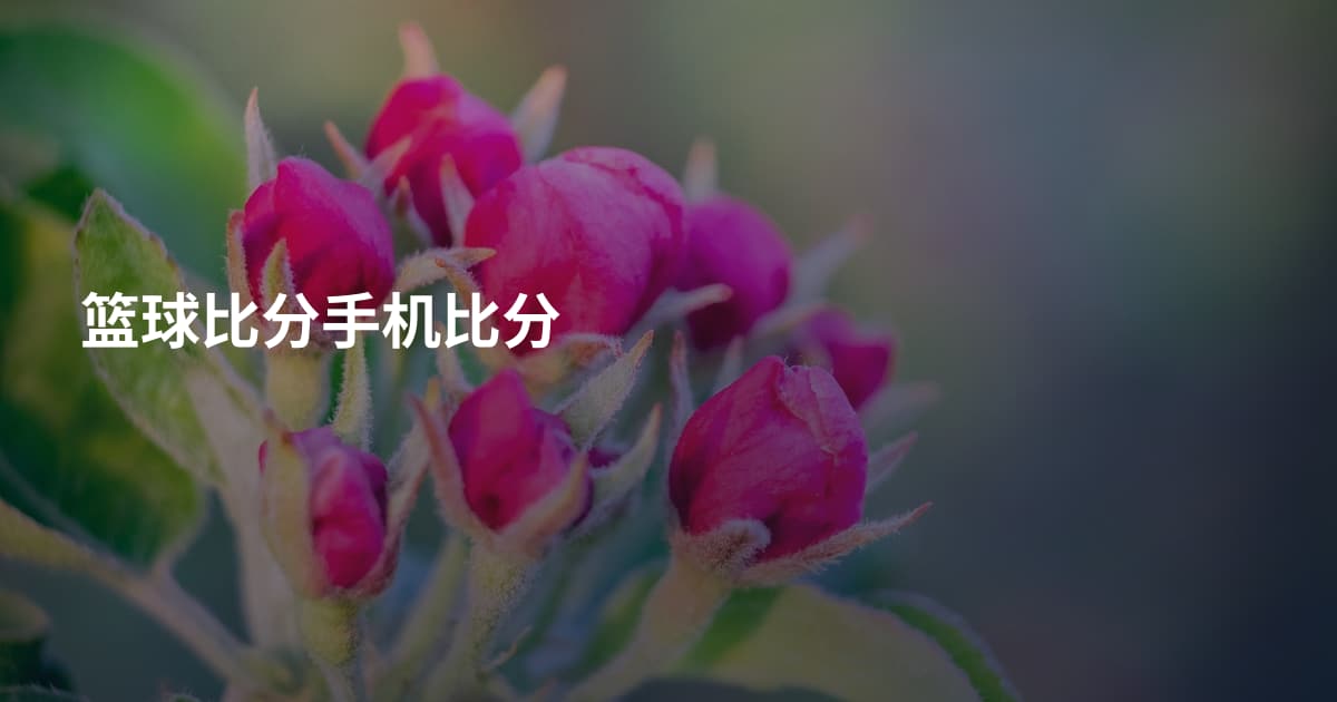 篮球比分手机比分