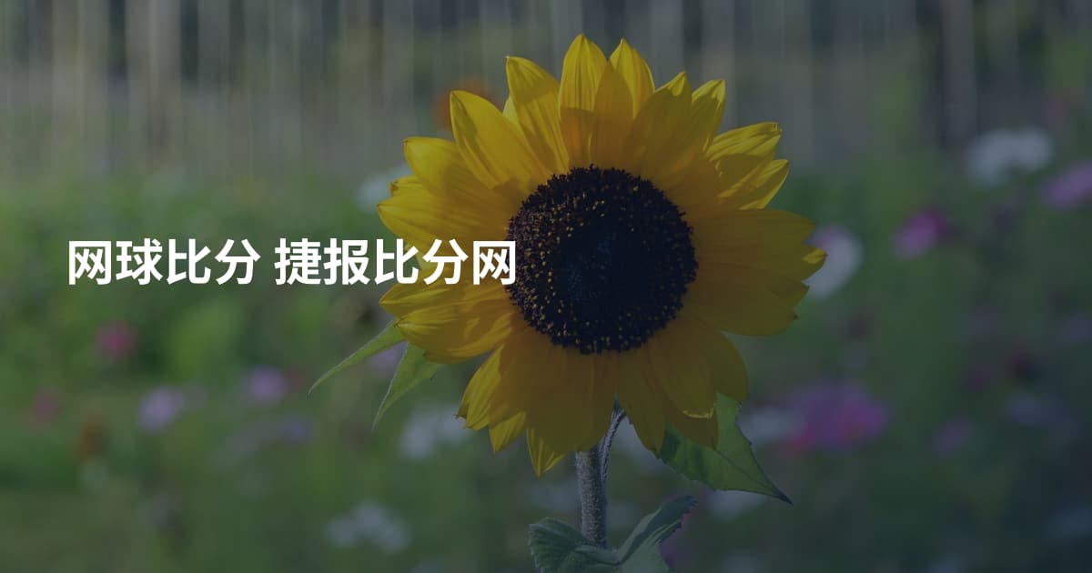 网球比分 捷报比分网