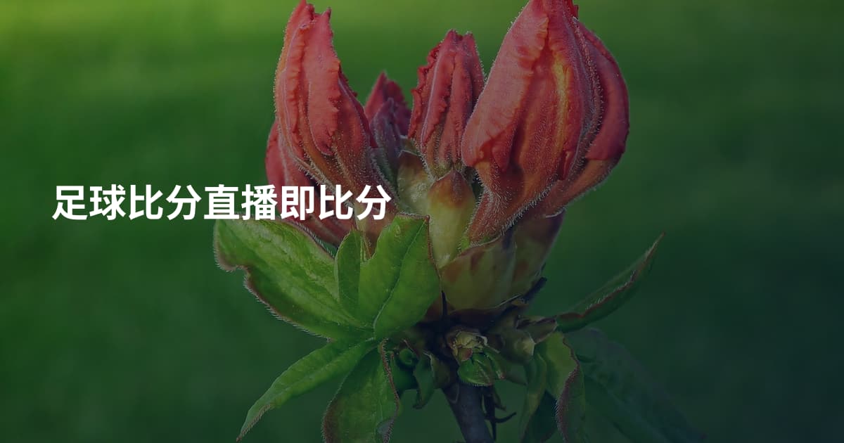 足球比分直播即比分