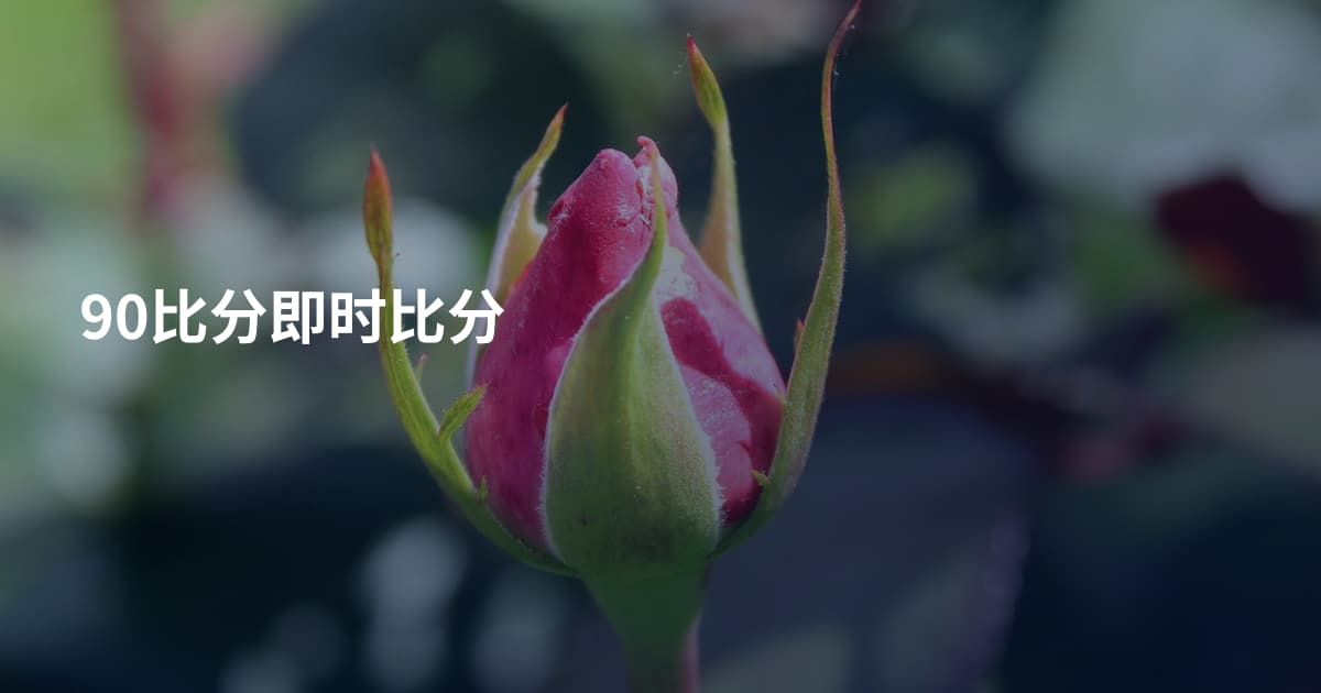90比分即时比分