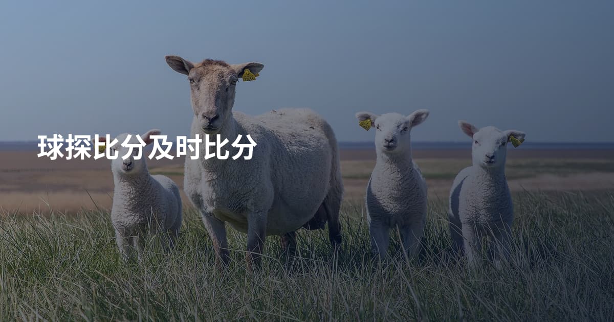 球探比分及时比分