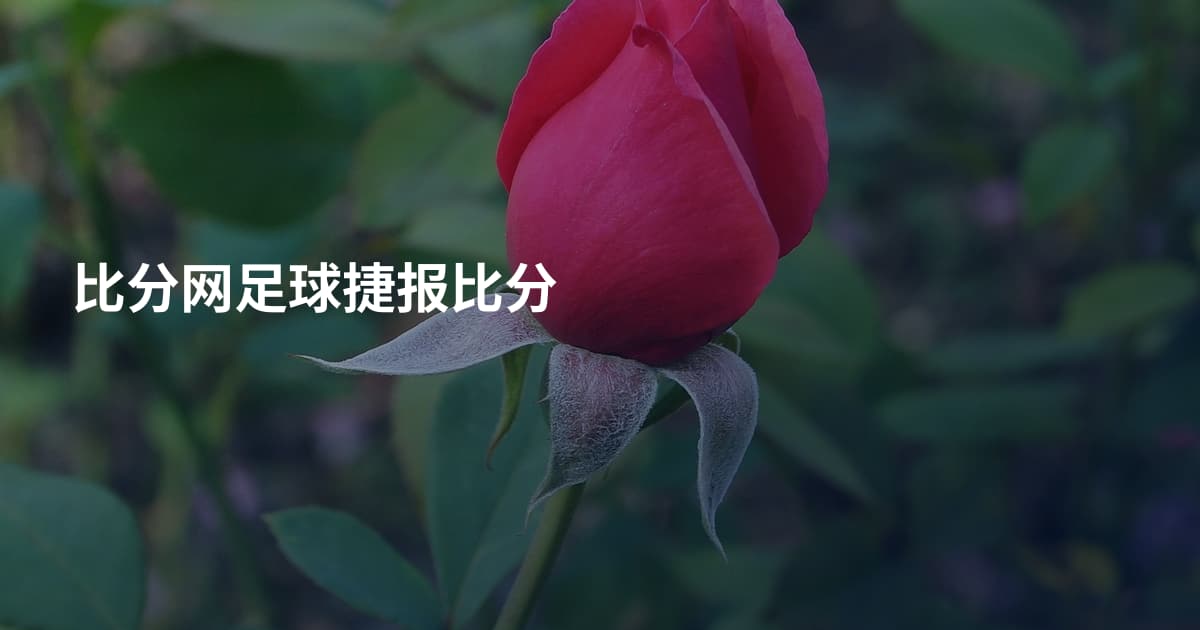 比分网足球捷报比分
