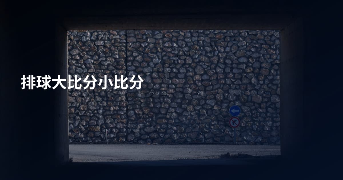 排球大比分小比分