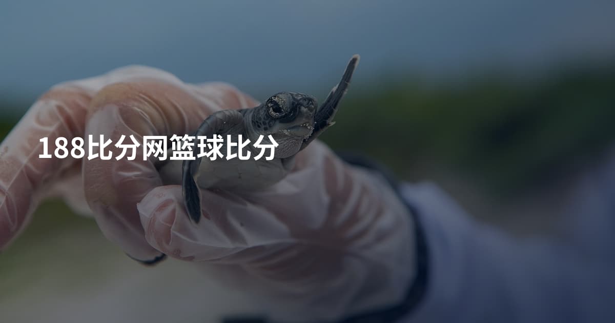 188比分网篮球比分