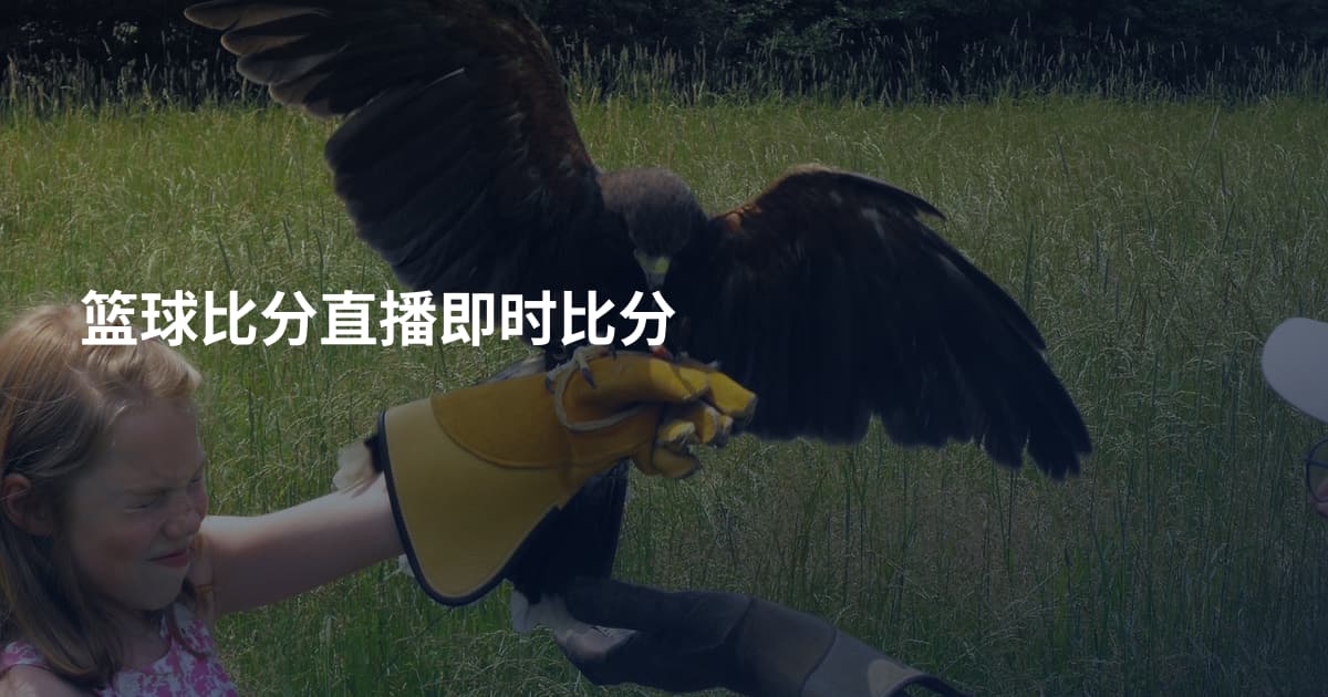 篮球比分直播即时比分