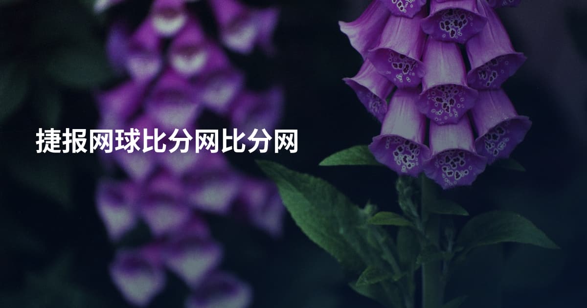 捷报网球比分网比分网