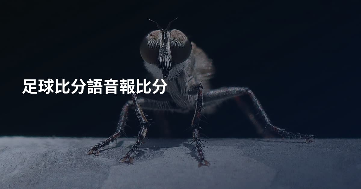 足球比分語音報比分