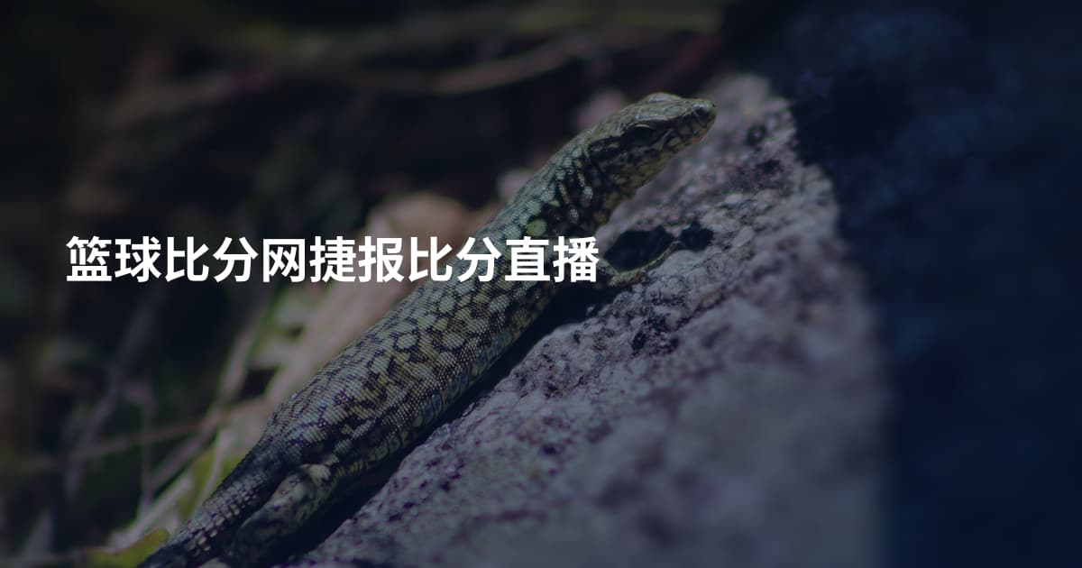 篮球比分网捷报比分直播