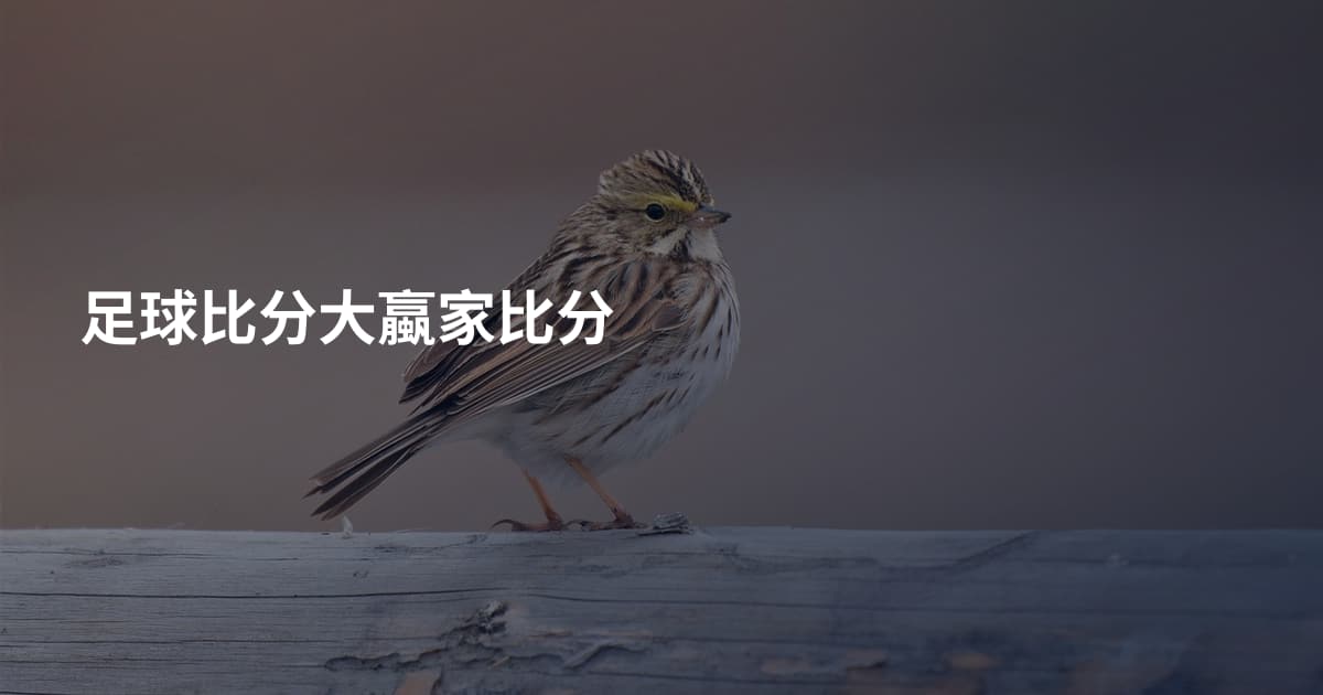 足球比分大蠃家比分