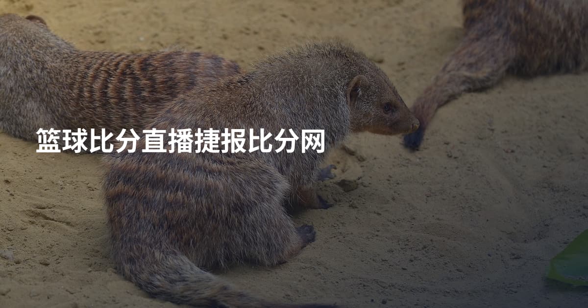 篮球比分直播捷报比分网