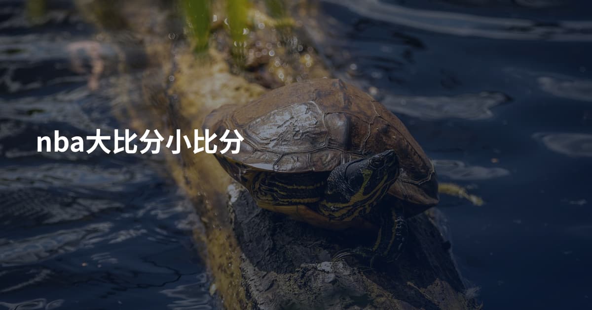 nba大比分小比分