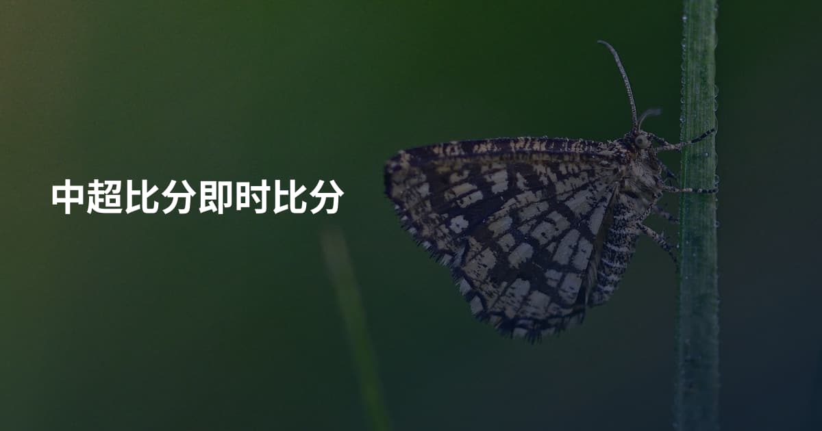 中超比分即时比分