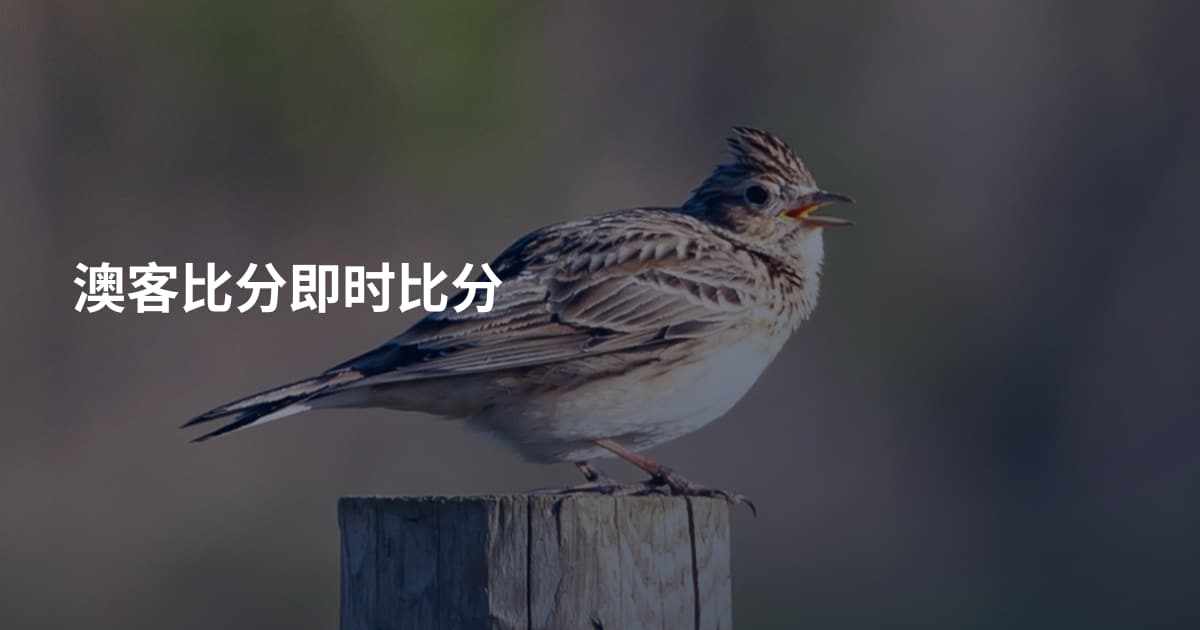 澳客比分即时比分