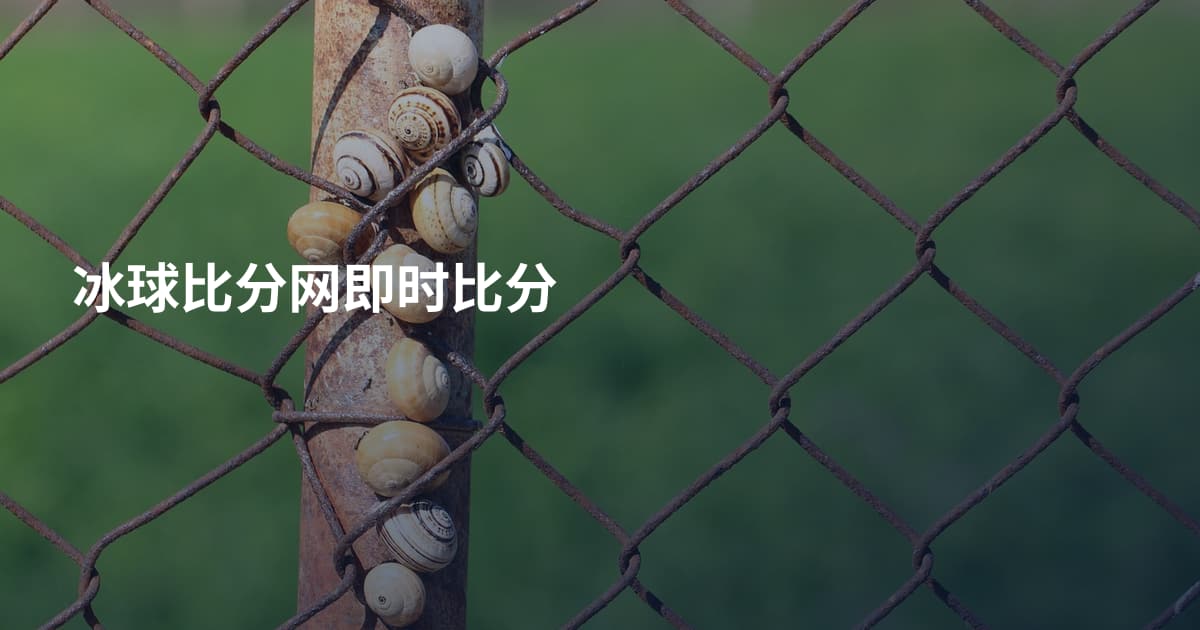 冰球比分网即时比分
