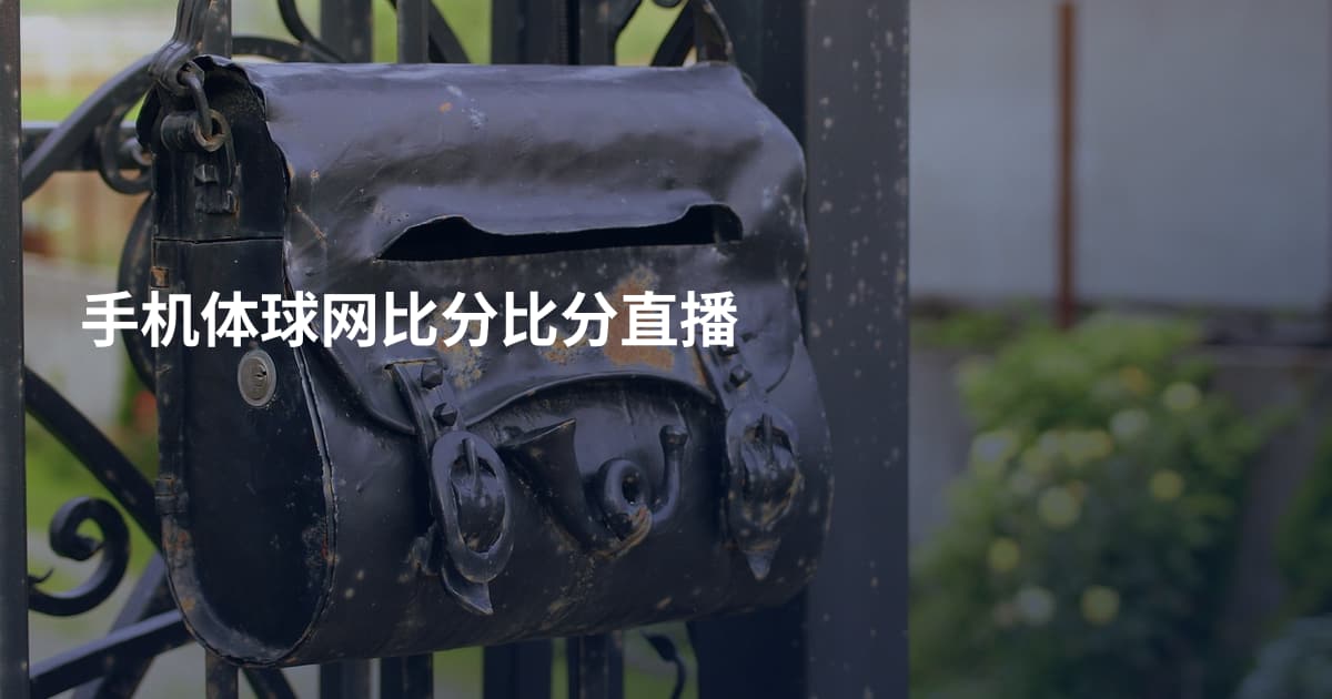 手机体球网比分比分直播