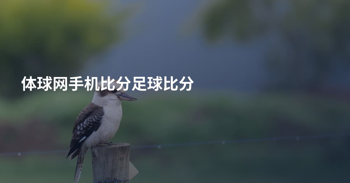 体球网手机比分足球比分