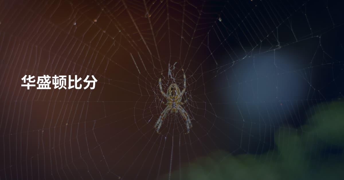 华盛顿比分
